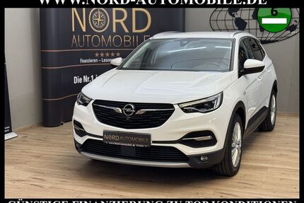 Opel Grandland (X) Gebrauchtwagen