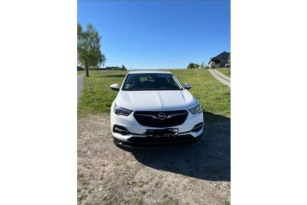 Opel Grandland (X) Gebrauchtwagen