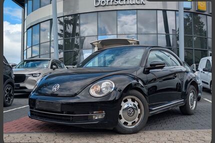 VW Beetle Gebrauchtwagen