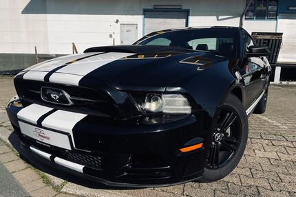 Ford Mustang Gebrauchtwagen
