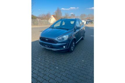 Ford Ka/Ka+ Gebrauchtwagen