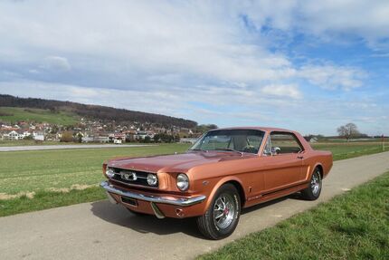 Ford Mustang Gebrauchtwagen