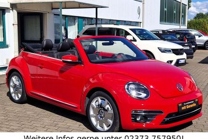 VW Beetle Gebrauchtwagen