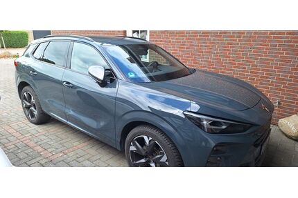 Cupra Terramar Gebrauchtwagen