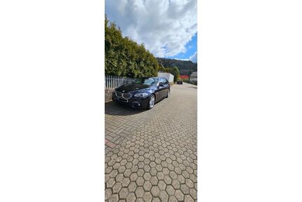 BMW 525 Gebrauchtwagen