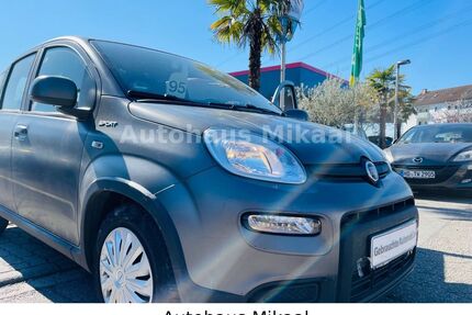 Fiat Panda Gebrauchtwagen