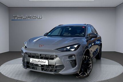 Cupra Terramar Gebrauchtwagen