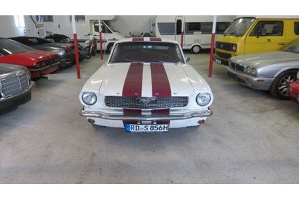 Ford Mustang Gebrauchtwagen
