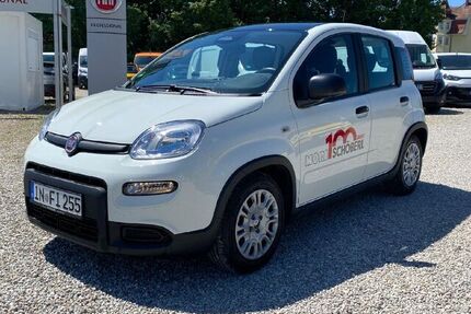 Fiat Panda Gebrauchtwagen
