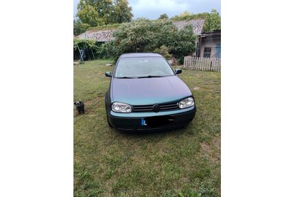 VW Golf Gebrauchtwagen
