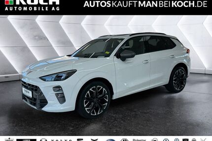 Cupra Terramar Gebrauchtwagen