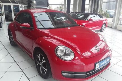 VW Beetle Gebrauchtwagen