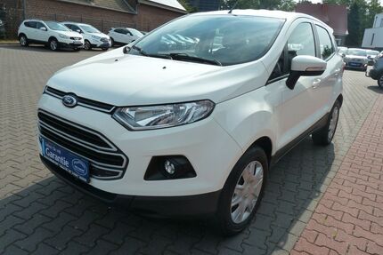 Ford EcoSport Gebrauchtwagen