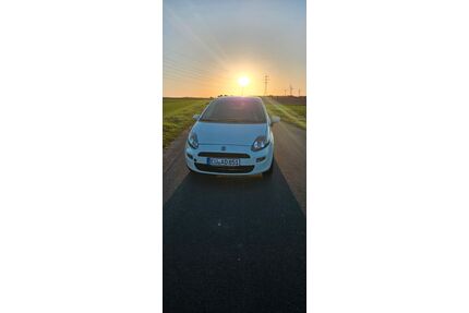 Fiat Punto Gebrauchtwagen