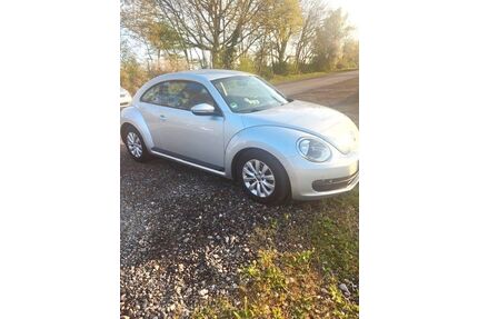VW Beetle Gebrauchtwagen