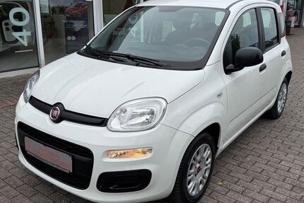 Fiat Panda Gebrauchtwagen