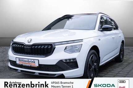 Skoda Kamiq Gebrauchtwagen