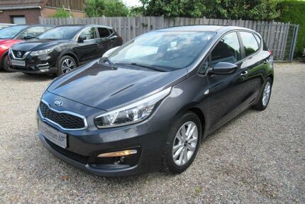Kia ceed / Ceed Gebrauchtwagen