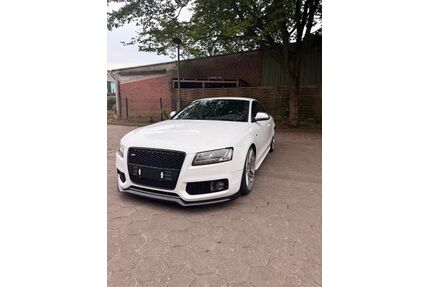 Audi S5 Gebrauchtwagen