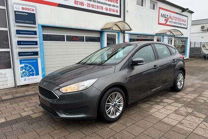 Ford Focus Gebrauchtwagen