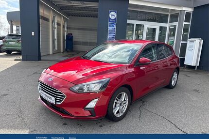 Ford Focus Gebrauchtwagen