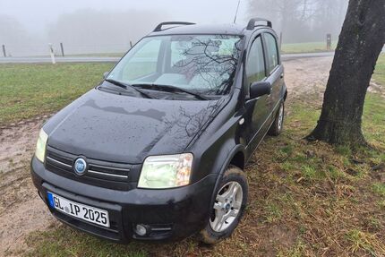 Fiat Panda Gebrauchtwagen