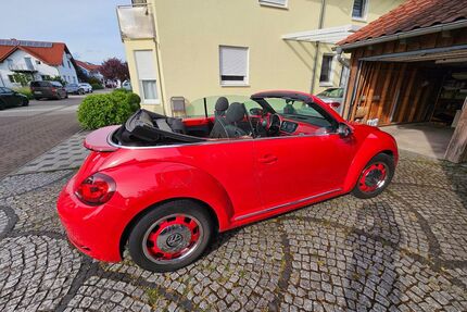 VW Beetle Gebrauchtwagen
