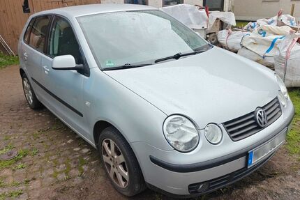VW Polo Gebrauchtwagen