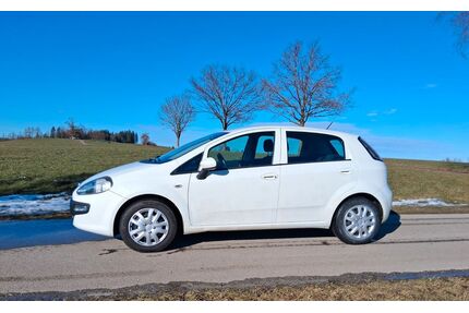 Fiat Punto Evo Gebrauchtwagen