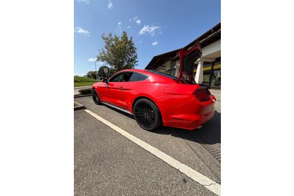 Ford Mustang Gebrauchtwagen