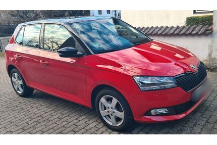 Skoda Fabia Gebrauchtwagen