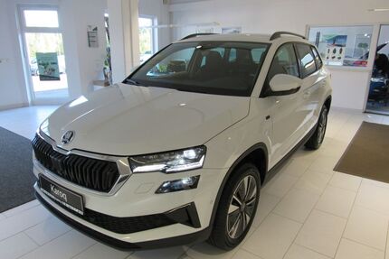 Skoda Karoq Gebrauchtwagen