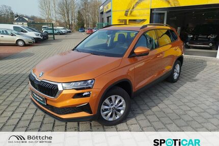 Skoda Karoq Gebrauchtwagen