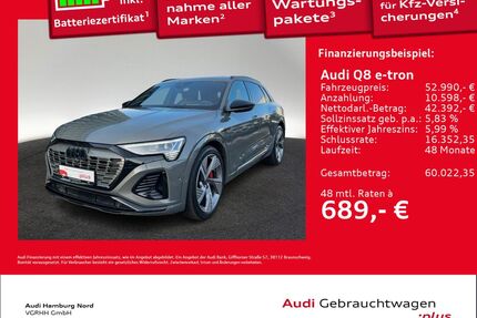 Audi Q8 e-tron Gebrauchtwagen