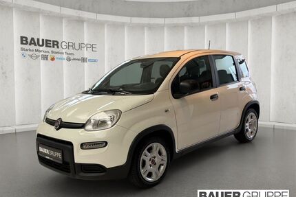 Fiat Panda Gebrauchtwagen