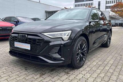 Audi Q8 e-tron Gebrauchtwagen