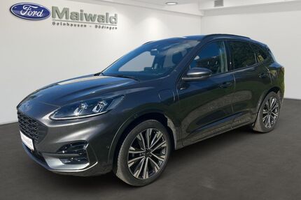 Ford Kuga Gebrauchtwagen