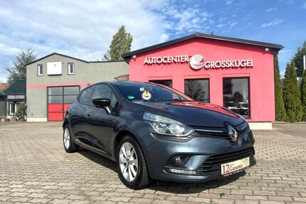 Renault Clio Gebrauchtwagen