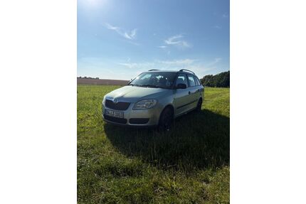 Skoda Fabia Gebrauchtwagen