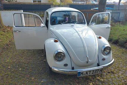 VW Käfer Gebrauchtwagen