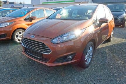 Ford Fiesta Gebrauchtwagen
