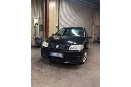 Fiat Punto Gebrauchtwagen