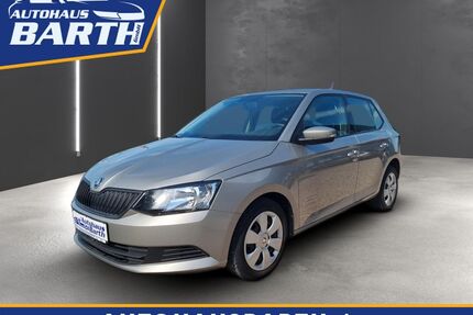 Skoda Fabia Gebrauchtwagen
