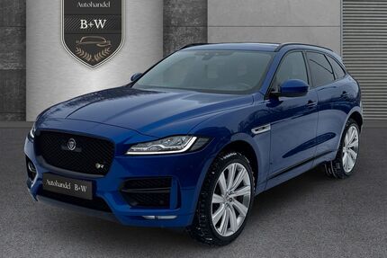 Jaguar F-Pace Gebrauchtwagen