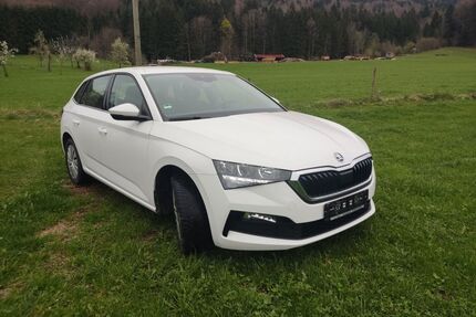 Skoda Scala Gebrauchtwagen