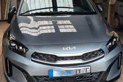 Kia XCeed Gebrauchtwagen
