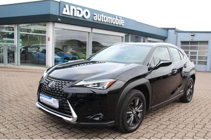 Lexus UX Gebrauchtwagen