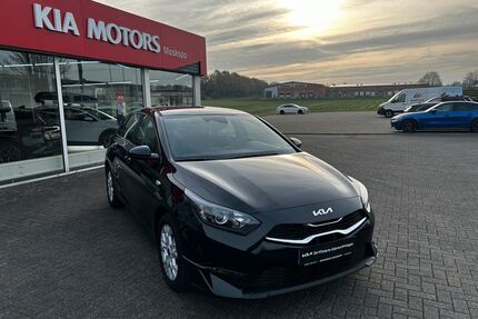 Kia ceed / Ceed Gebrauchtwagen