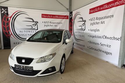 Seat Ibiza Gebrauchtwagen