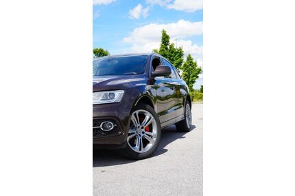 Audi Q5 Gebrauchtwagen